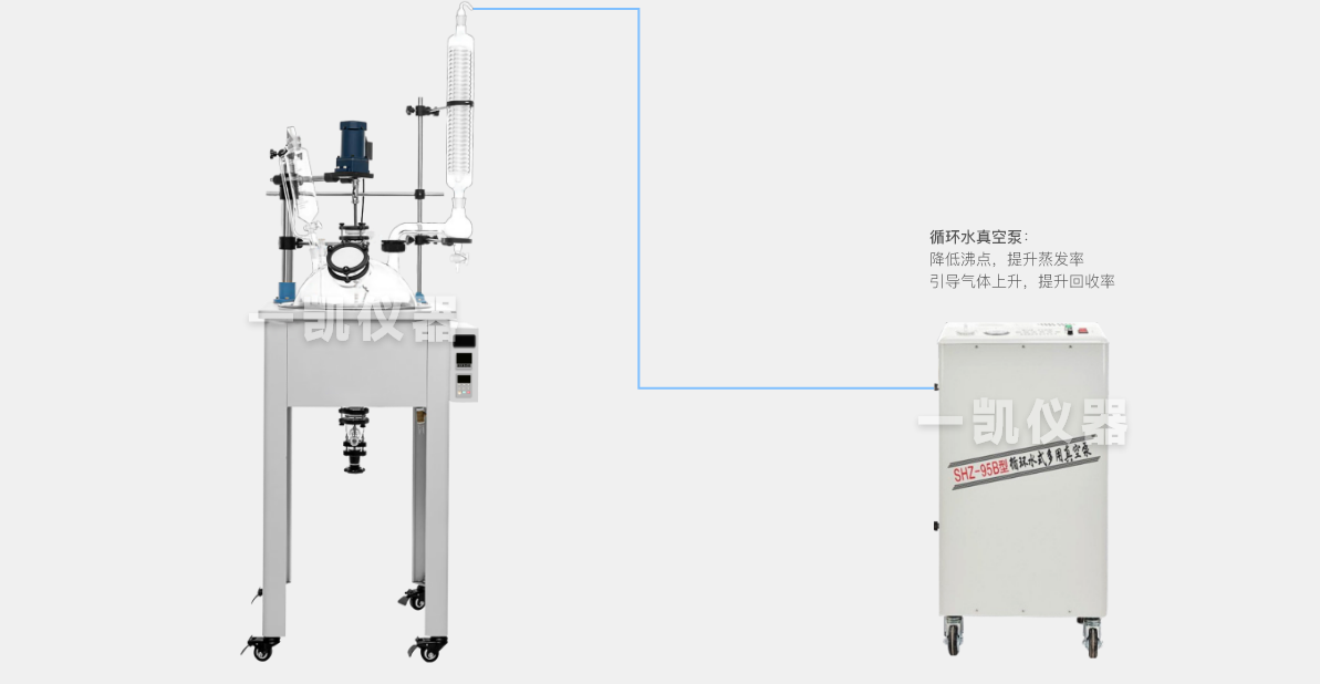 小蝌蚪污视频APP